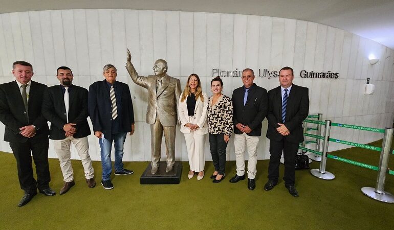 Prefeita e vereadores de SJB buscam mais recursos para Saúde em Brasília