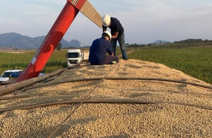 NF vai exportar 3 mil toneladas de soja para a Rússia pelo Porto do Açu