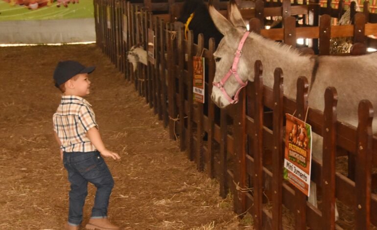 Mini Fazendinha encanta crianças na Expo Campos