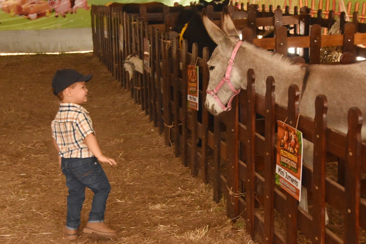 Mini Fazendinha encanta crianças na Expo Campos