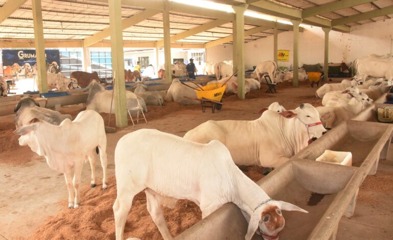 Valorização do agronegócio na 65ª edição da Exposição de Campos