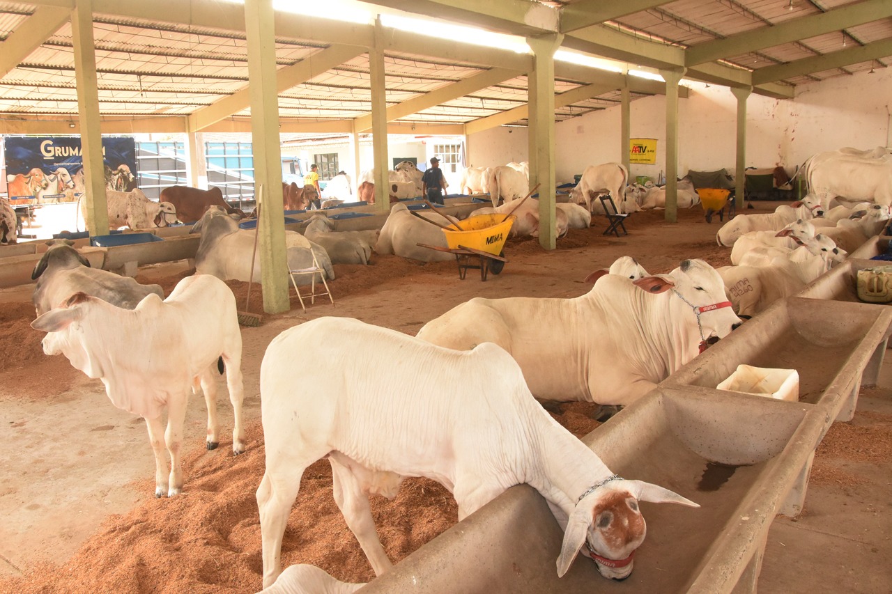 Valorização do agronegócio na 65ª edição da Exposição de Campos
